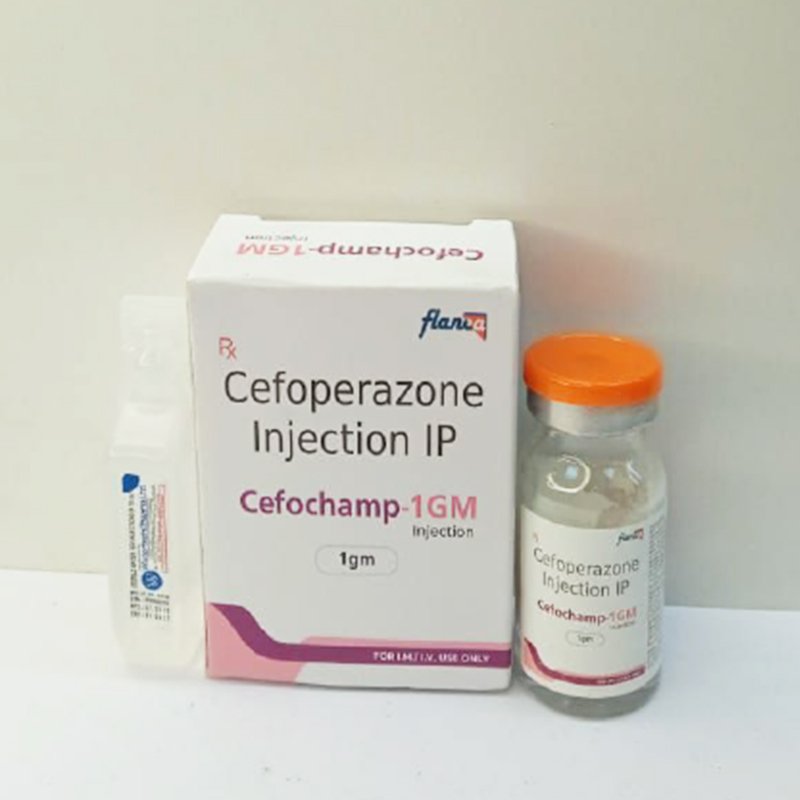CEFOCHAMP S 1GM